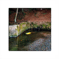 Vigroux,franck - Totem - Music CD
