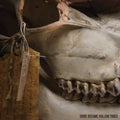 Some Became Hollow Tubes - Keep It In The Ground - Vinyl Record