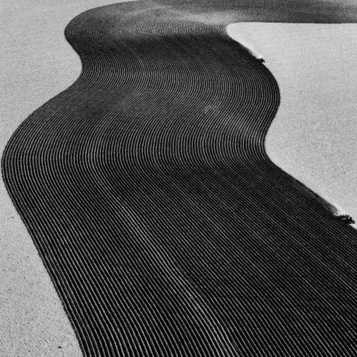 Rainer Veil - Vanity - Vinyl Record