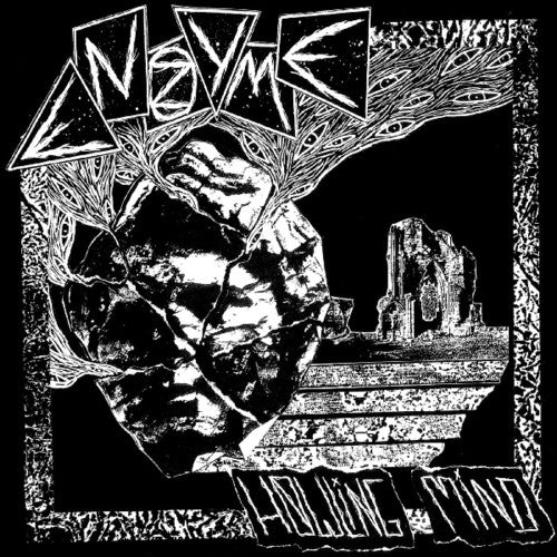 Enzyme - Howling Mind - Vinyl Record