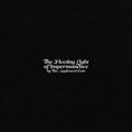Appleseed Cast - Fleeting Light Of Impermanece - Vinyl Record