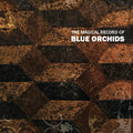 Blue Orchids - Magical Record Of Blue Orchids - Music CD