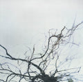 Hirose,yutaka - Nova & 4 - Music CD