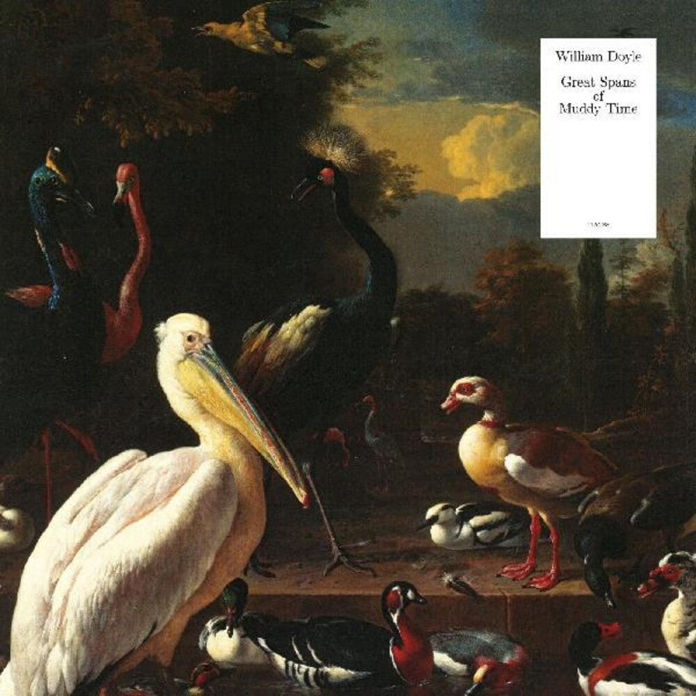 William Doyle - Great Spans Of Muddy Time [LP]