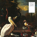 Doyle,william - Great Spans Of Muddy Time - Music CD