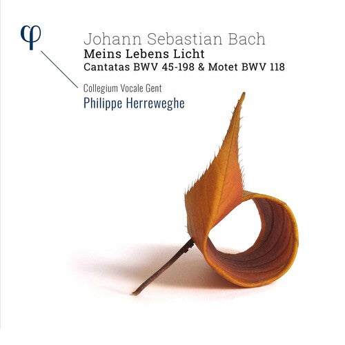 Bach,j.s. / Collegium Vocale Gent / Herreweghe - Meins Lebens Licht - Music CD