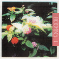 Amulets - Blooming - Vinyl Record