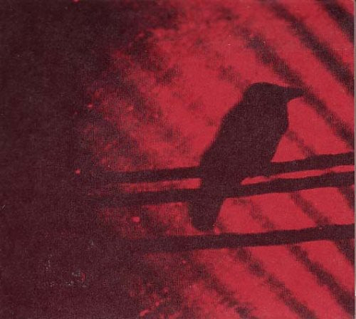 Silver Mt Zion - Born Into Trouble As The Sparks Fly Upward - Vinyl Record
