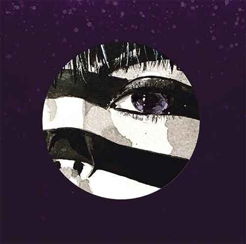 Purple Disco Machine - Fireworks - Vinyl Record