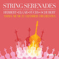 Elgar / Anima Musicae Chamber Orch - String Serenades 3 - Music CD