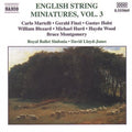 English String Miniatures 3 / Various - English String Miniatures 3 / Various - Music CD