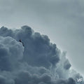Nf - Clouds (the Mixtape) - Music CD