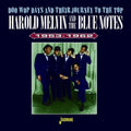 Melvin,harold & The Bluenotes - Doo Wop Days & Their Journey To The Top 1953-1962 - Music CD