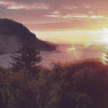 Ocean Party - Beauty Point - Vinyl Record