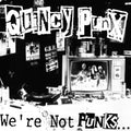 Punx,quincy - We're Not Punks...but We Play Them On Tv - Vinyl Record