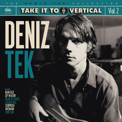 Tek,deniz - Take It To The Vertical - Vinyl Record