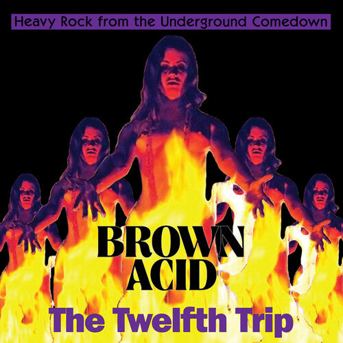 Brown Acid - The Twelfth Trip / Various - Brown Acid - The Twelfth Trip / Various - Music CD
