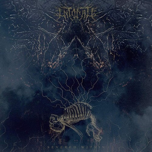 Intonate - Severed Within - Vinyl Record