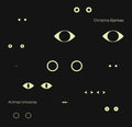 Animal Universe / Various - Animal Universe / Various - Music CD