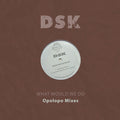 Dsk - What Would We Do - Opolopo Mixes - Music CD