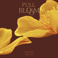 Punch - Full Bloom - Music CD
