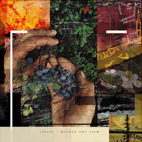 Closer - Within One Stem - Vinyl Record