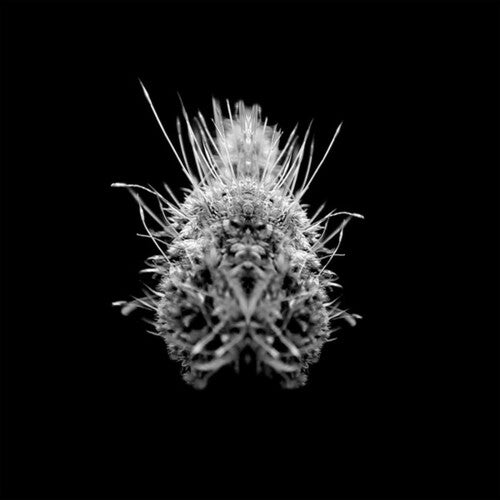 Selm - Tiiier / Post-adrenaline - Vinyl Record