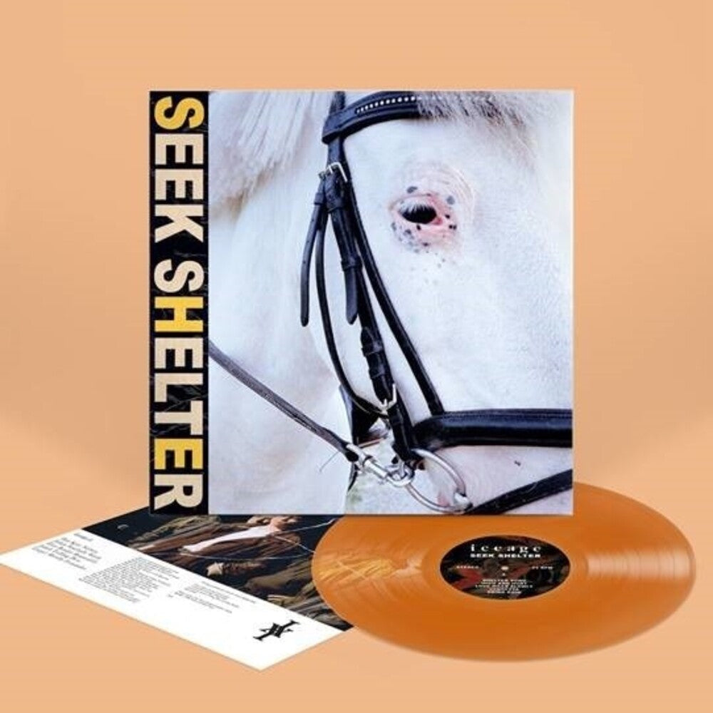 Seek Shelter [Indie Exclusive Limited Edition Orange LP] Vinyl Record
