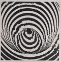 Hack Sabbath - Paranoise - Vinyl Record
