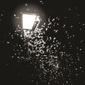 Amantra / Mothboy - Ten Thousand Swerves / G & C - Vinyl Record