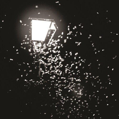Amantra / Mothboy - Ten Thousand Swerves / G & C - Vinyl Record