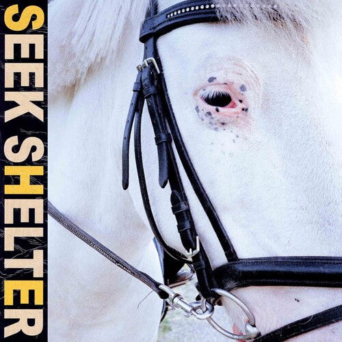 Iceage - Seek Shelter - Music CD