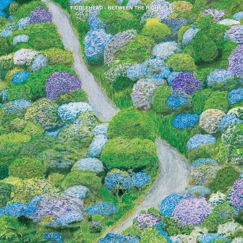 Fiddlehead - Between The Richness - Music CD