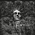 Suicide Forest - Reluctantly - Music CD
