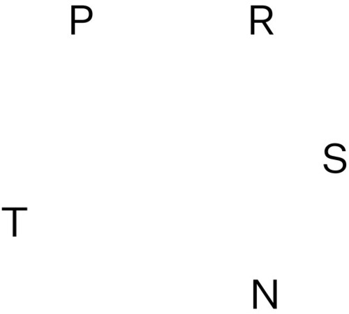Prsnt / Various - Prsnt / Various - Vinyl Record