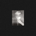 White Flowers - Day By Day - Vinyl Record