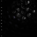 Crumb - Ice Melt - Music CD