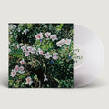Locke,jess - Don't Ask Yourself Why - Vinyl Record