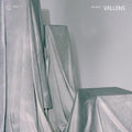 In Era (Slv) [LP] Vinyl Record