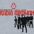 Radio Birdman - Essential Radio Birdman 1974-1978 - Vinyl Record
