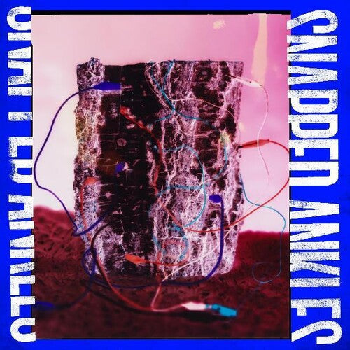 Snapped Ankles - Forest Of Your Problems (the Business Imp Edition) - Vinyl Record