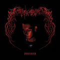 Endgame - Surrender - Vinyl Record