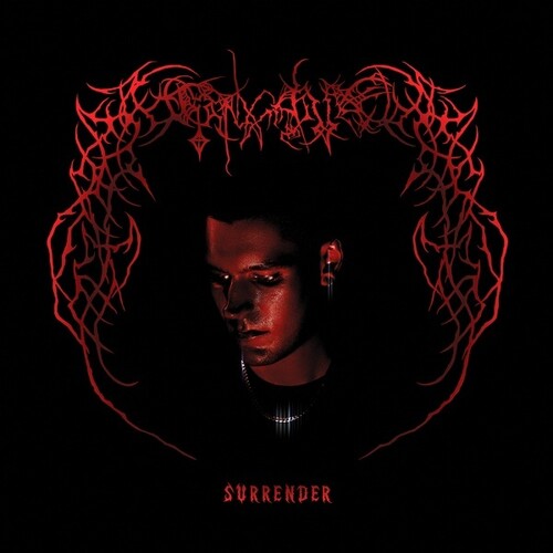 Endgame - Surrender - Vinyl Record