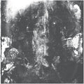 Rotting Sky - Sedation - Vinyl Record