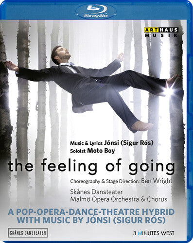Nydesjo,jonas - Feeling Of Going - Blu-ray