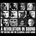 Revolution In Sound: Pop Culture & Classical Avant - Revolution In Sound: Pop Culture & Classical Avant - Music CD