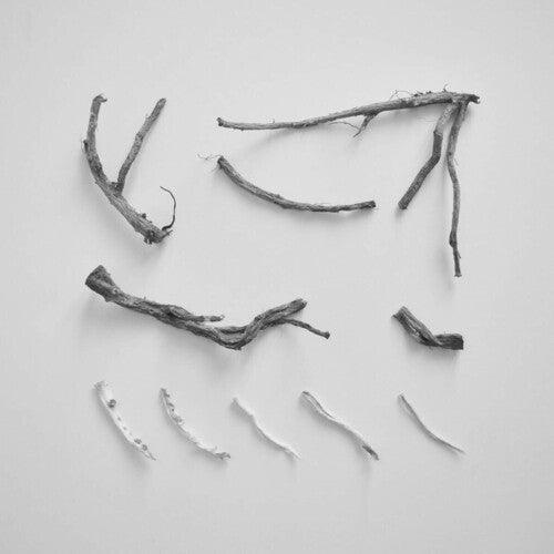 Skelton,richard - These Charms May Be Sung Over A Wound - Vinyl Record