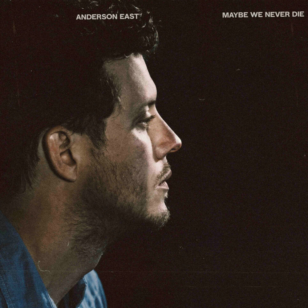 Maybe We Never Die [LP] Vinyl Record