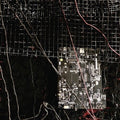 Merzbow / Prurient - Black Crows Cyborg - Vinyl Record