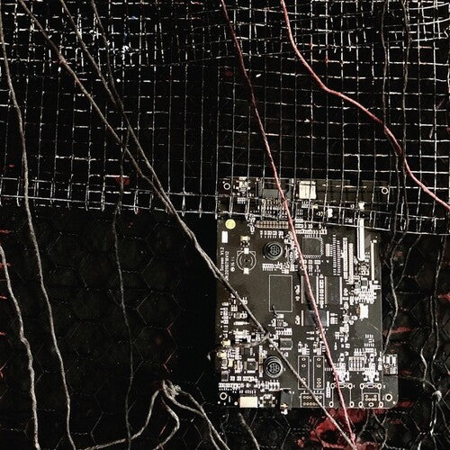 Merzbow / Prurient - Black Crows Cyborg - Vinyl Record